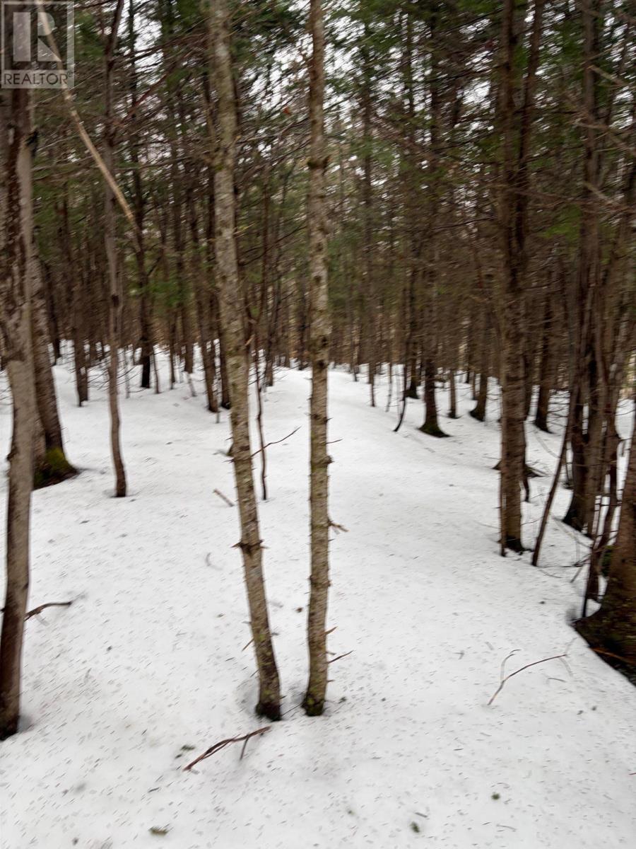 Property 9 of 10 of 594 Whycocomagh Mountain Rd