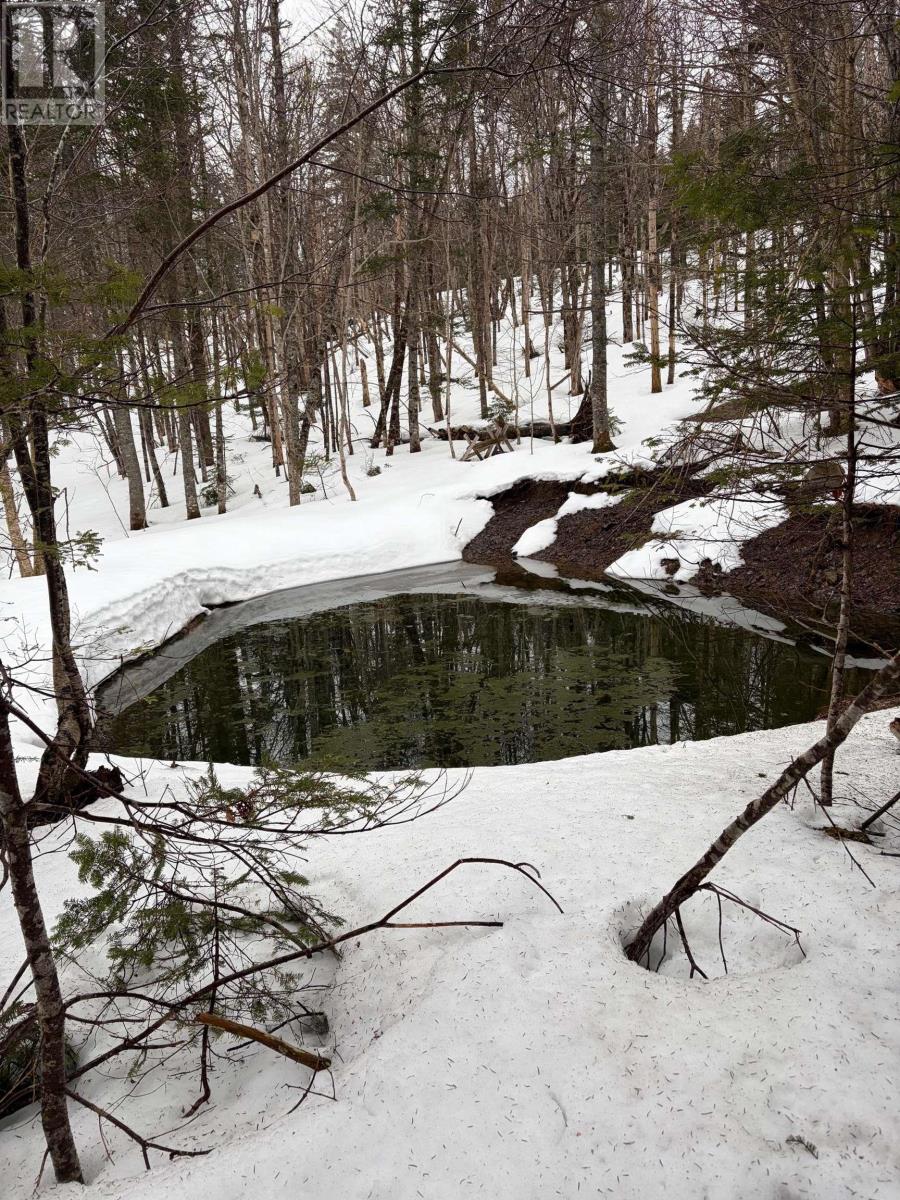 Property 8 of 9 of 594 Whycocomagh Mountain Rd