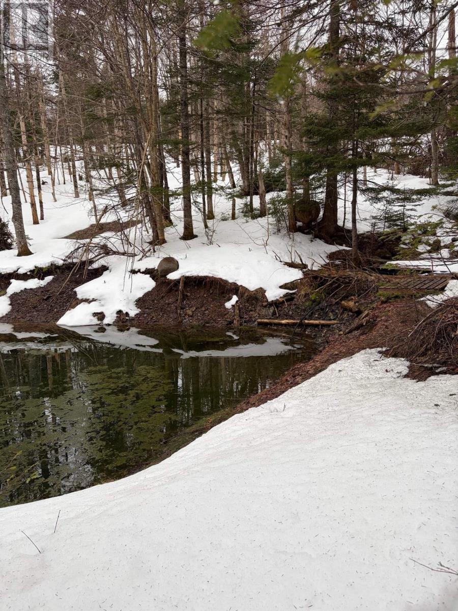 Property 2 of 9 of 594 Whycocomagh Mountain Rd