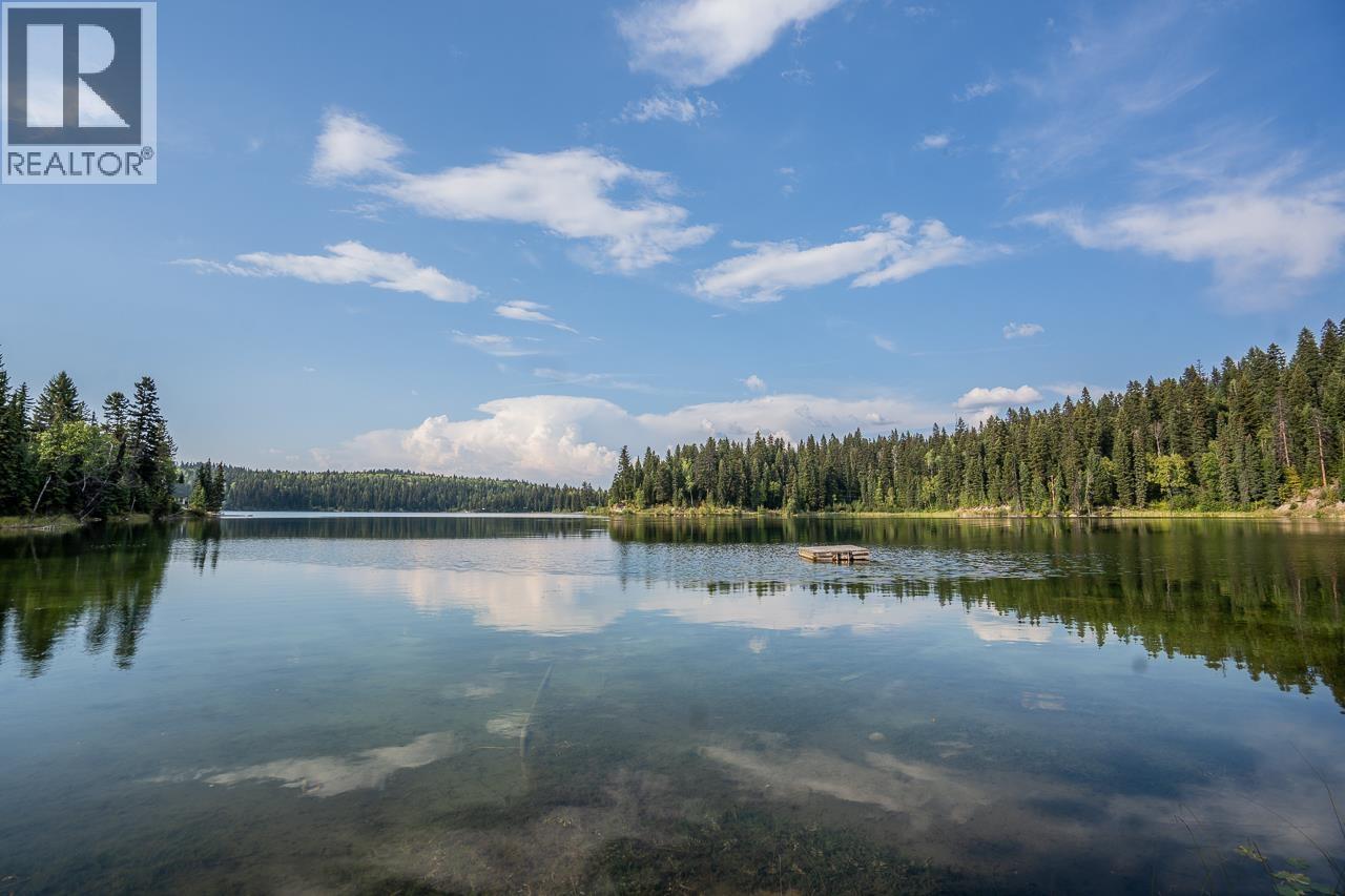 3920 EAGLE CREEK ROAD - 3