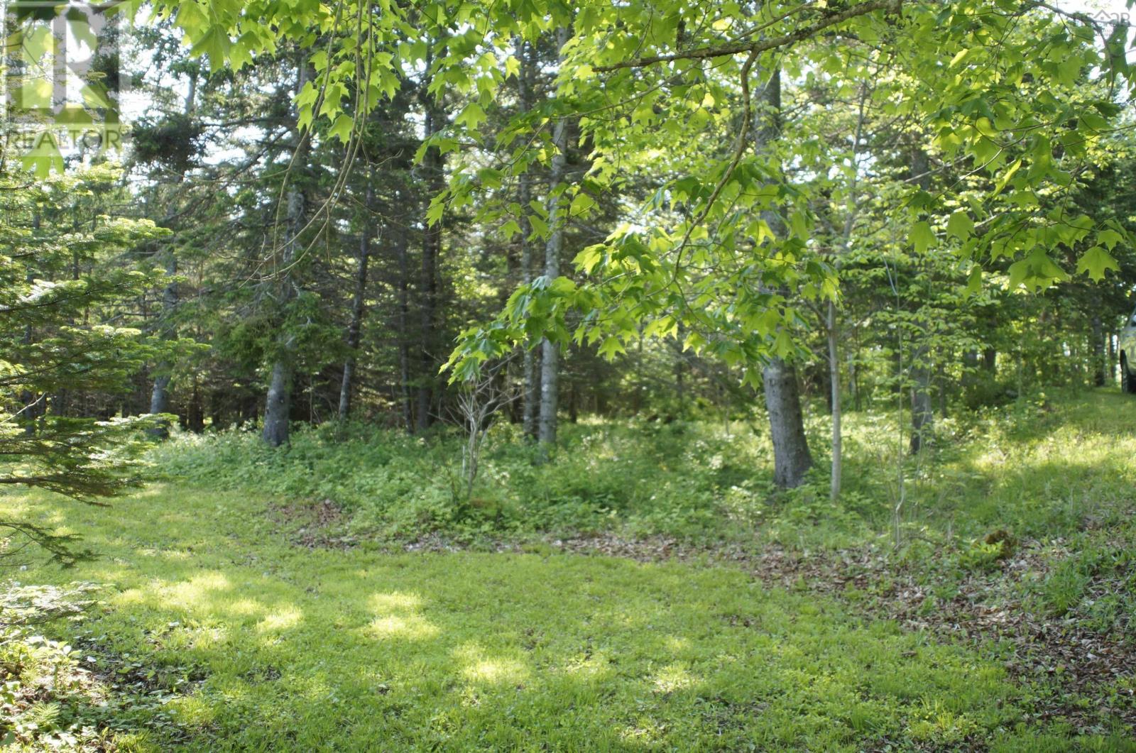 4031 Loch Lomond Road - 28