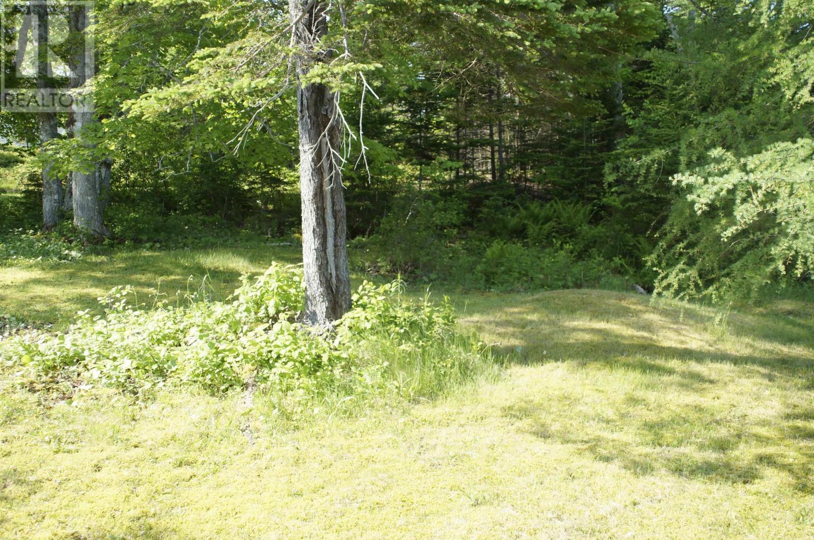 4031 Loch Lomond Road - 33