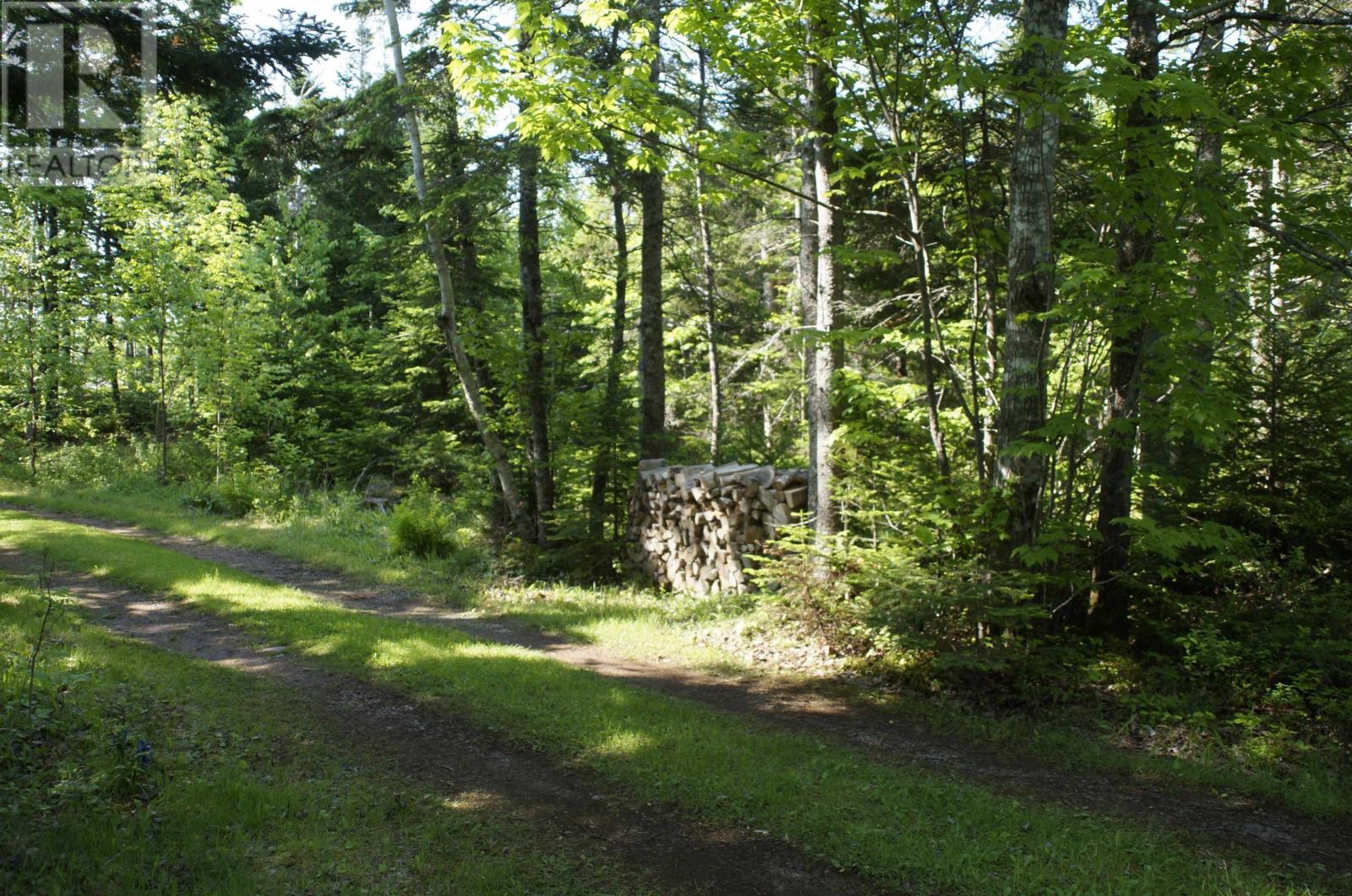 4031 Loch Lomond Road - 45