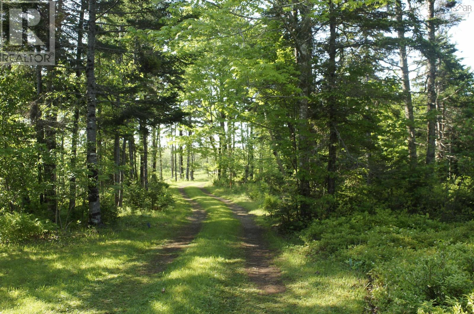 4031 Loch Lomond Road - 2