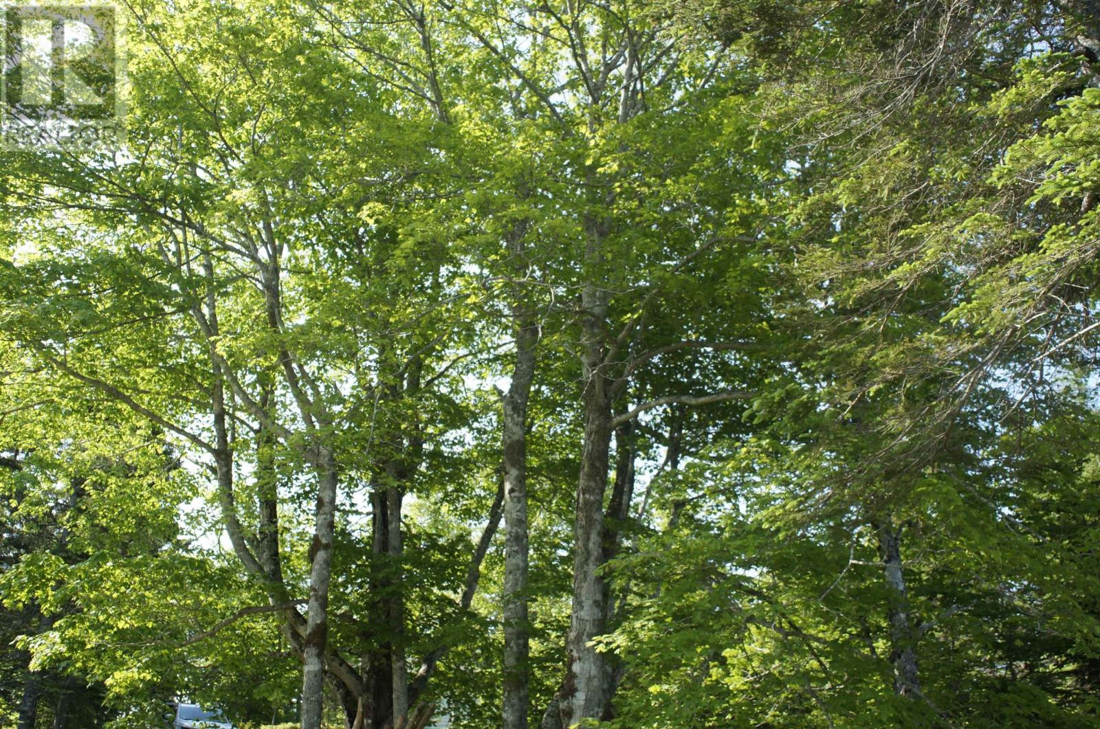 Property 11 of 45 of 4031 Loch Lomond Road