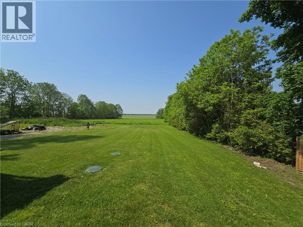 View of green lawn