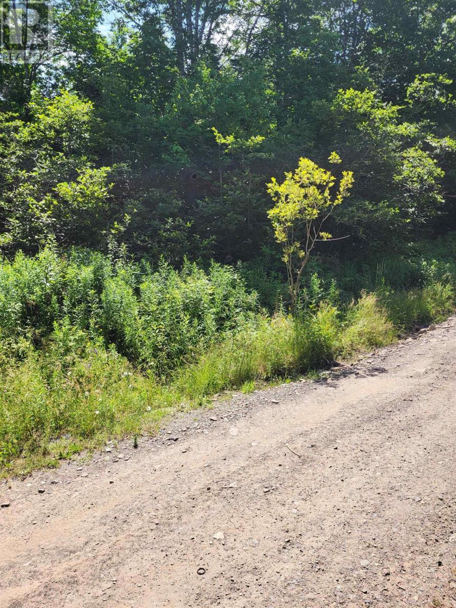 Property 2 of 7 of Highway 215 Urbania