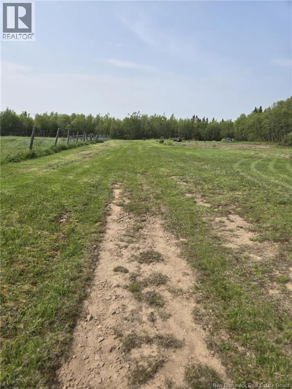 Vacant Lot 2023-2 Ch. Riviere-du-Portage ND — photo 11