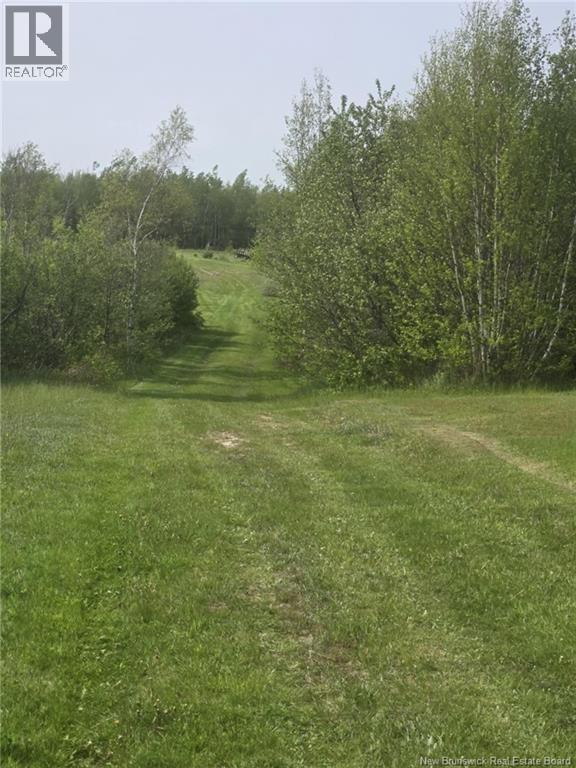 Right of way facing the property.