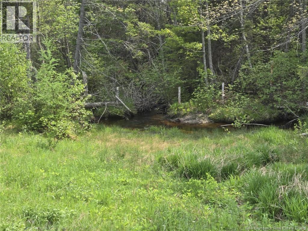 Stream on edge of property