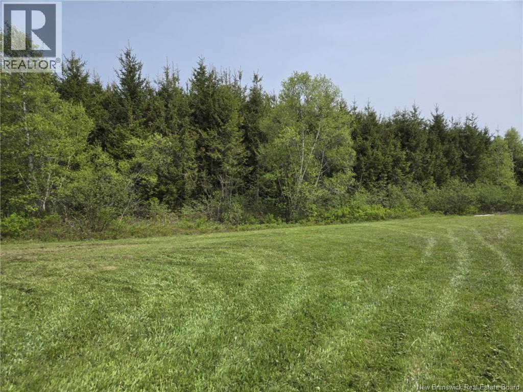 Vacant Lot 2023-2 Ch. Riviere-du-Portage ND — photo 4