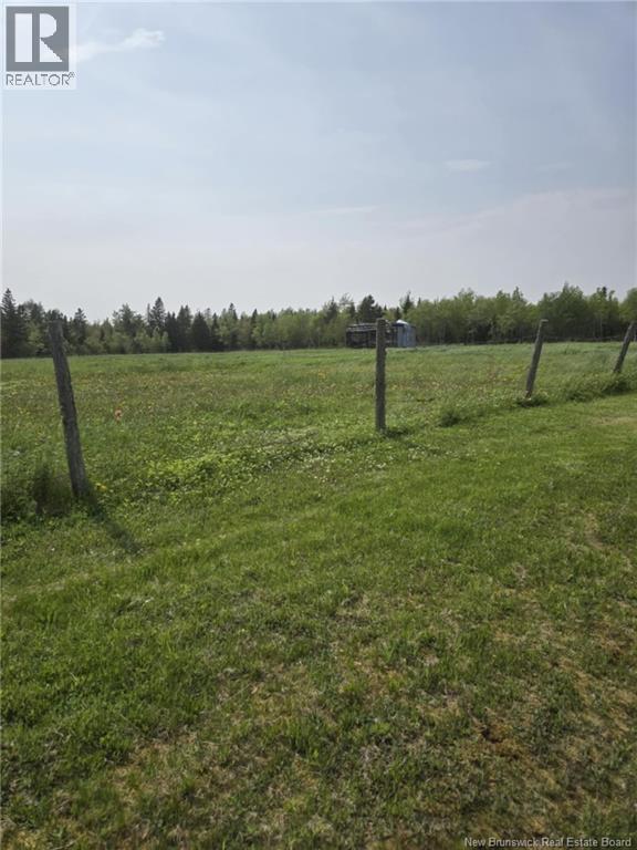 Vacant Lot 2023-2 Ch. Riviere-du-Portage ND — photo 9