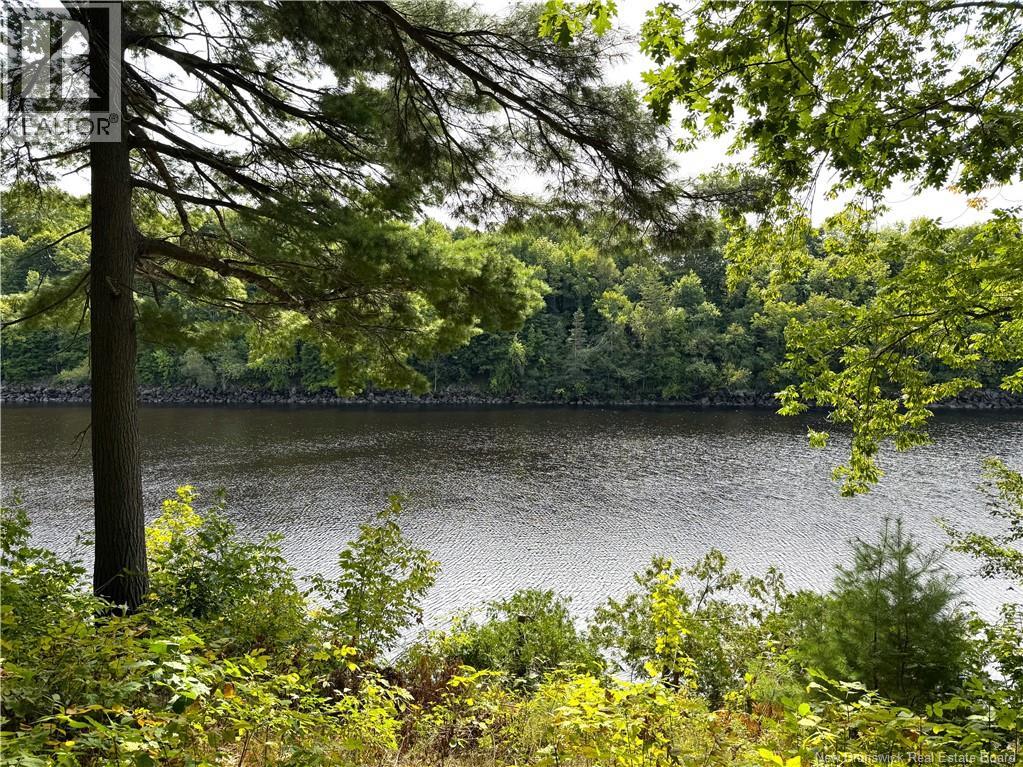 272 Milltown Boulevard - 7