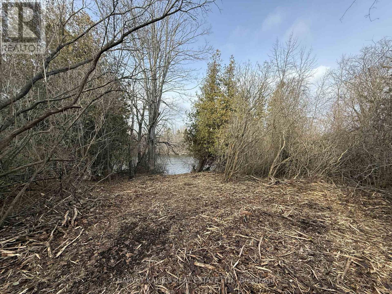 BESIDE 2885 COUNTY ROAD 10 — photo 4