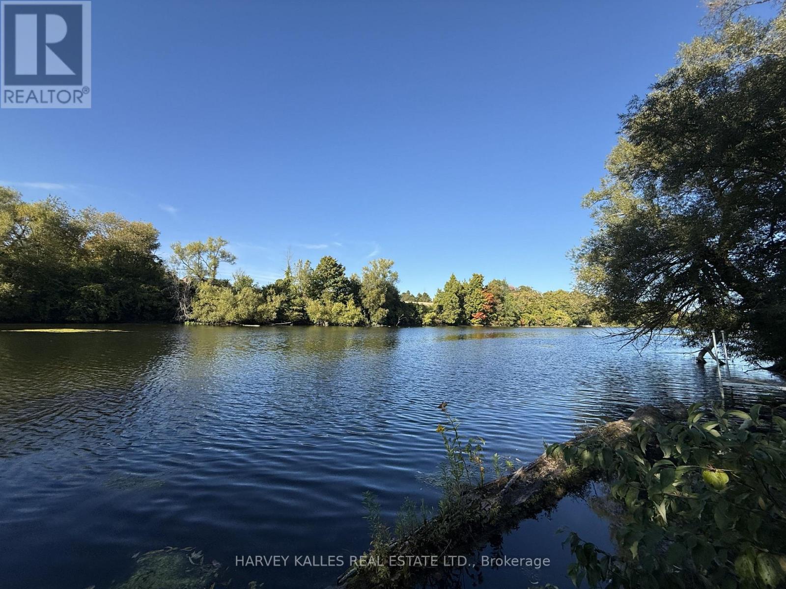 BESIDE 2885 COUNTY ROAD 10 — photo 5