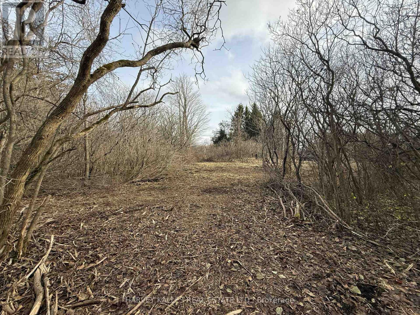 BESIDE 2885 COUNTY ROAD 10 — photo 7