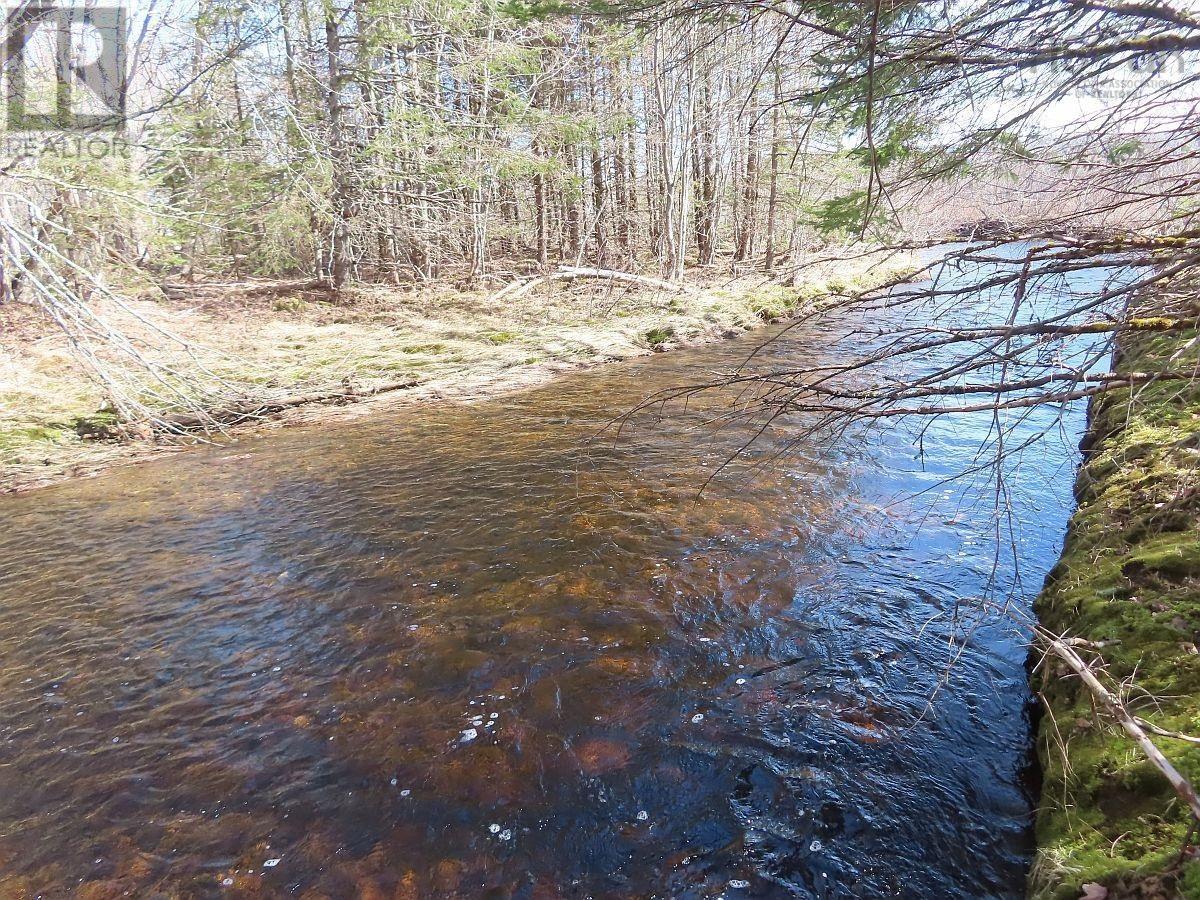 Property 14 of 47 of 62 Acres West Side Road