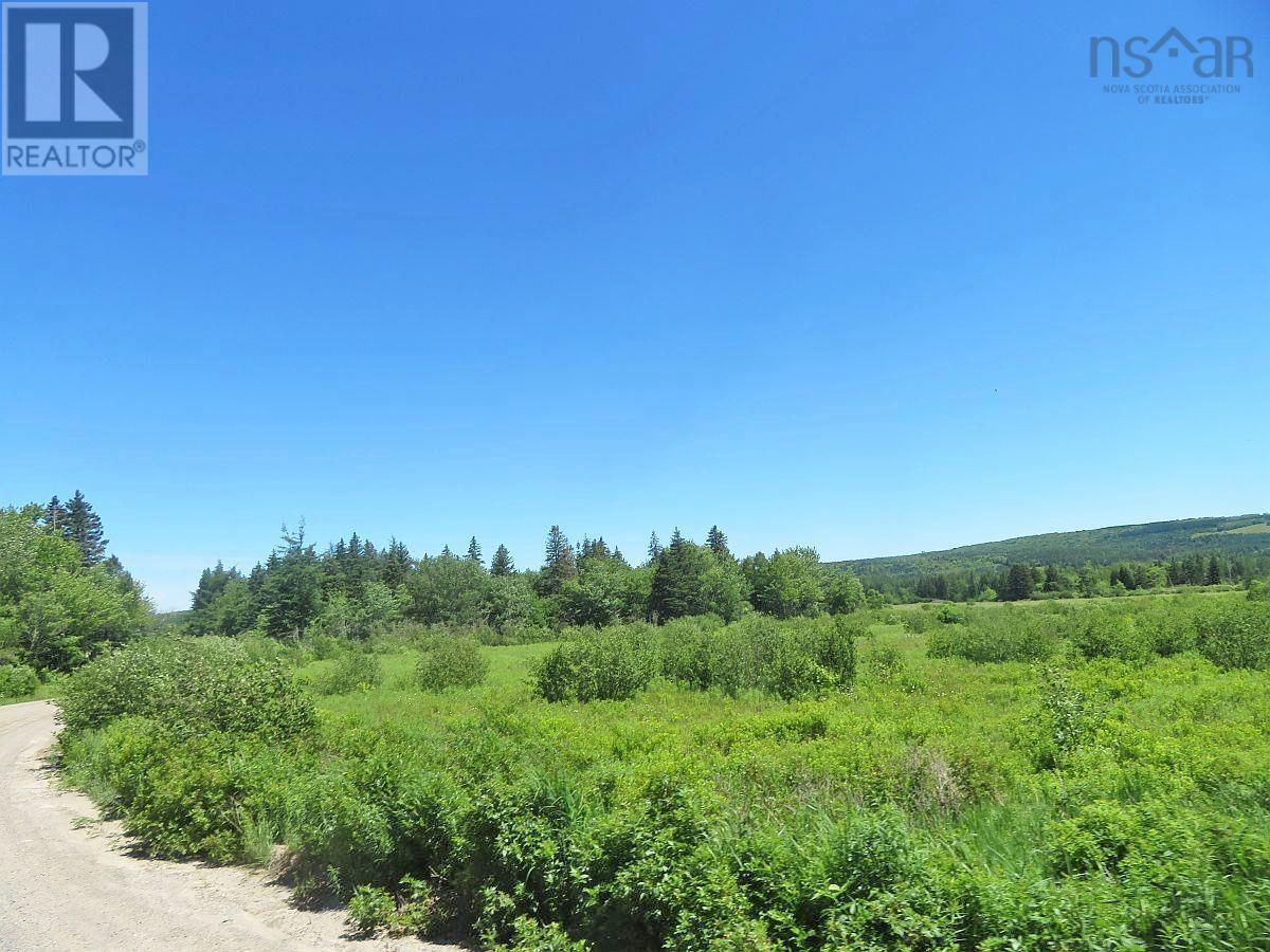 Property 42 of 47 of 62 Acres West Side Road