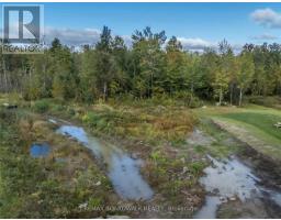 282 Roxanne Street, Clarence Rockland, ON K0A1N0 Photo 7