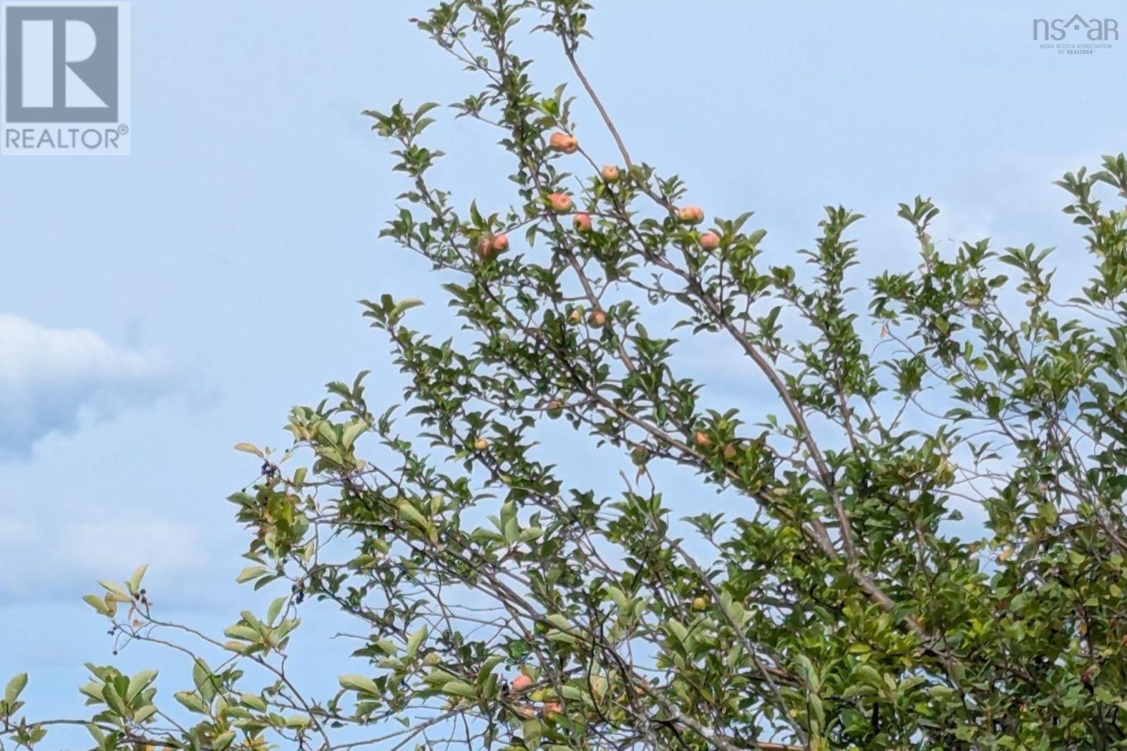 Property 18 of 18 of 1013 River John Road