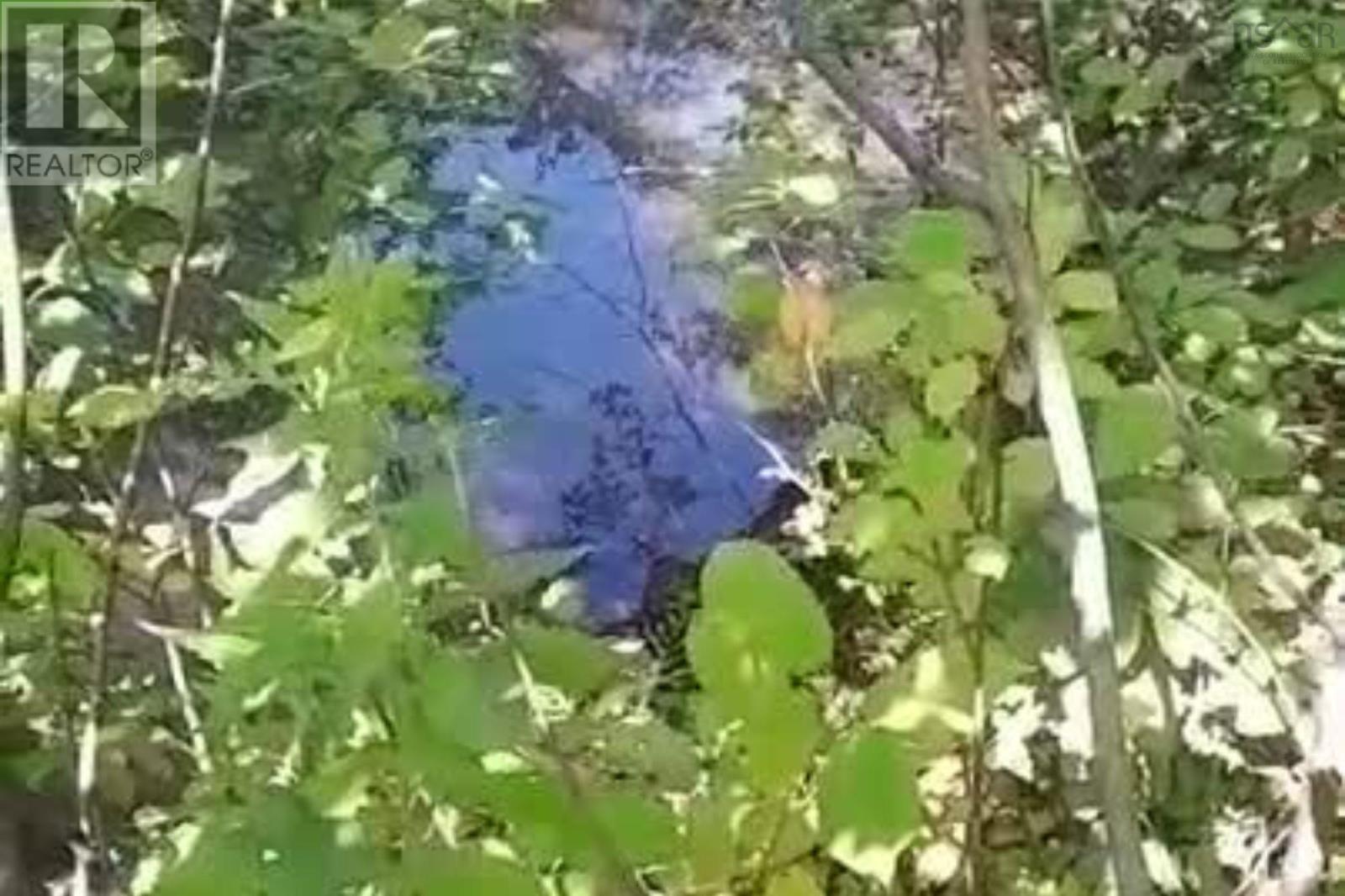 Property 8 of 18 of 1013 River John Road