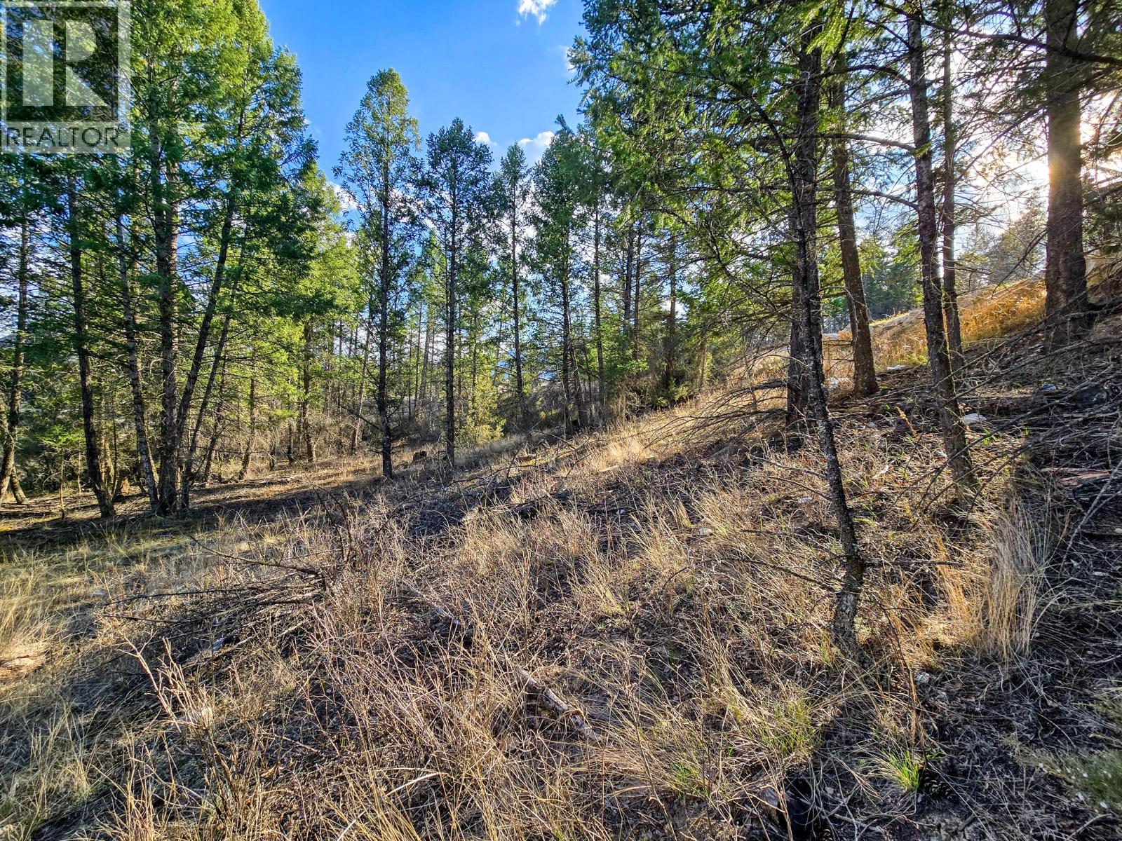 LOT 17 COPPER POINT WAY - 11