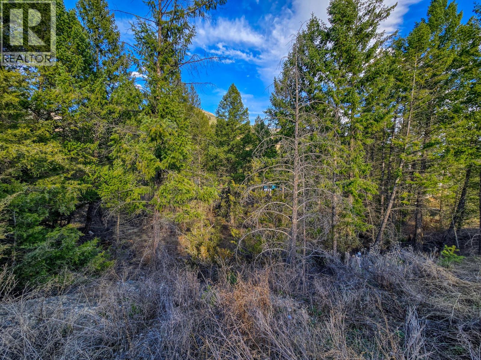 LOT 17 COPPER POINT WAY - 9