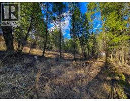Lot 17 Copper Point Way, Windermere, BC V0B2L0 Photo 10