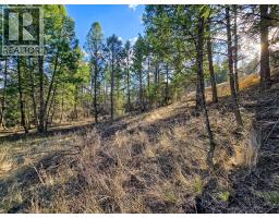 Lot 17 Copper Point Way, Windermere, BC V0B2L0 Photo 11