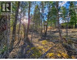 Lot 17 Copper Point Way, Windermere, BC V0B2L0 Photo 12