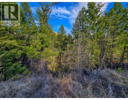 Lot 17 Copper Point Way, Windermere, BC V0B2L0 Photo 9