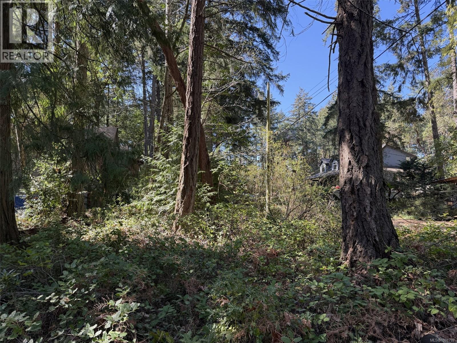 Trees near road frontage