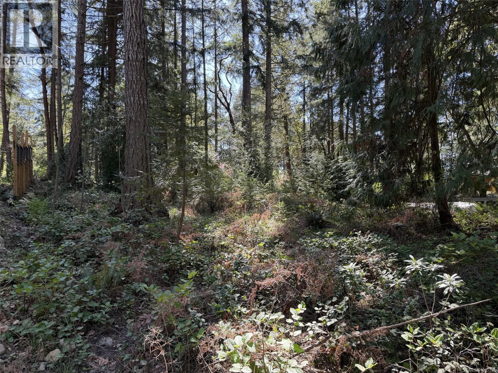 11 Pirate Pl — photo 12