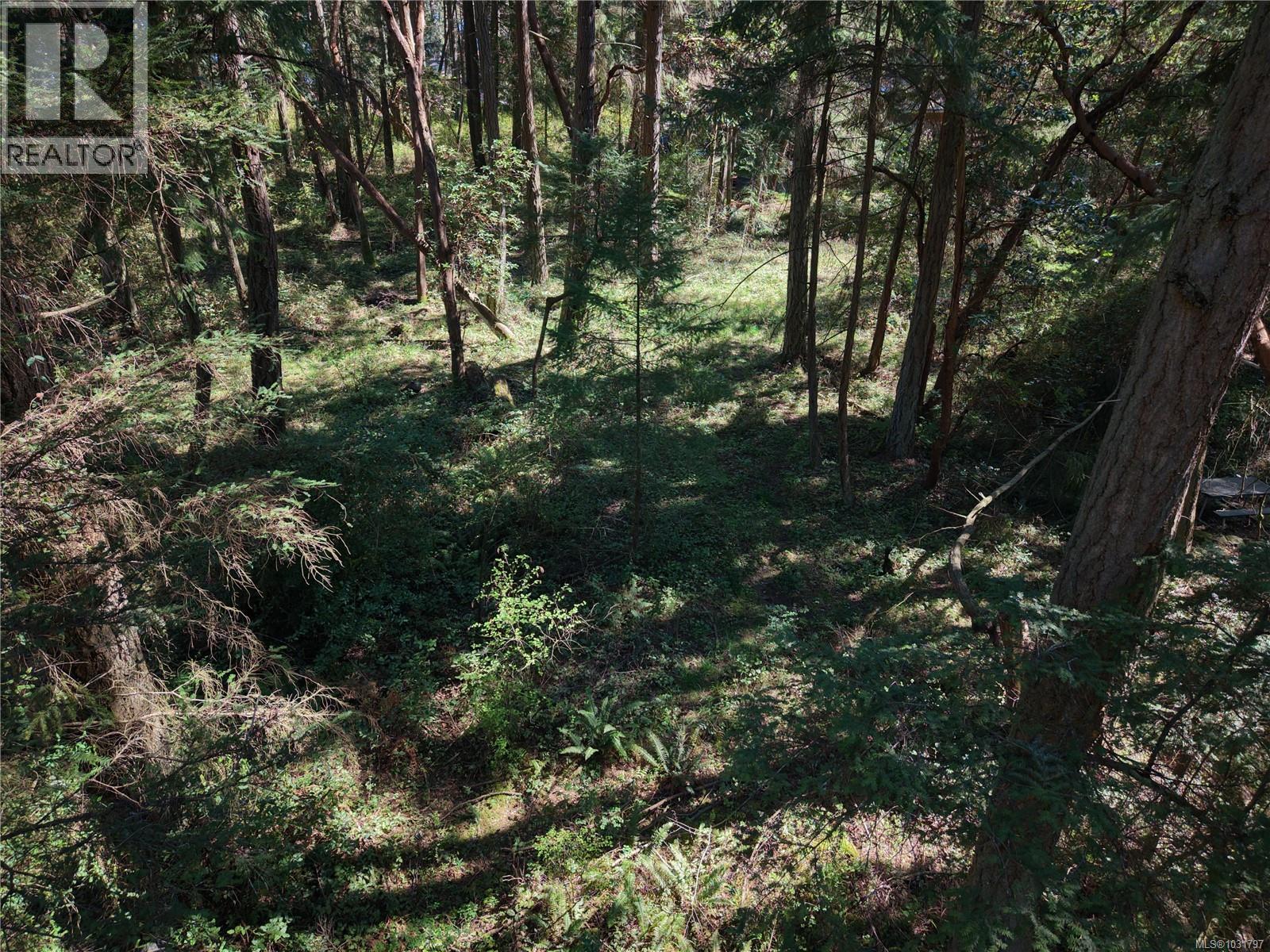 Parkspace adjacent (south) of property