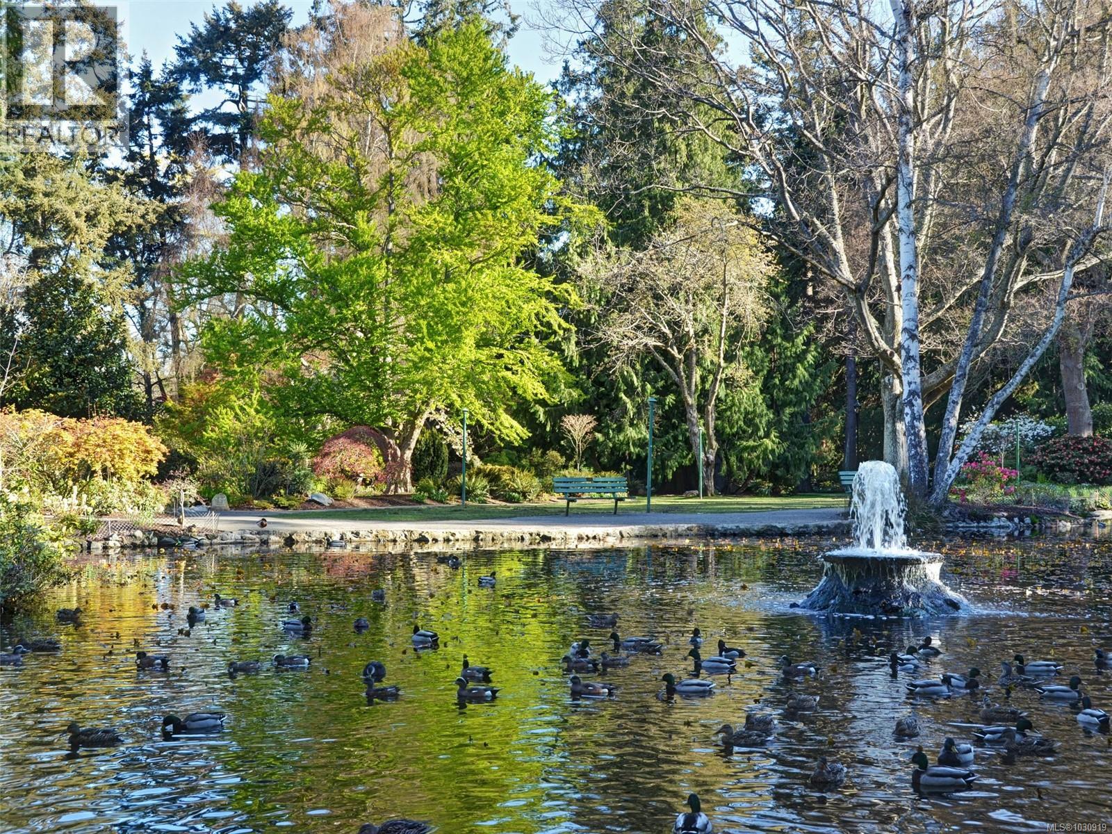 #460 188 DOUGLAS ST - 26