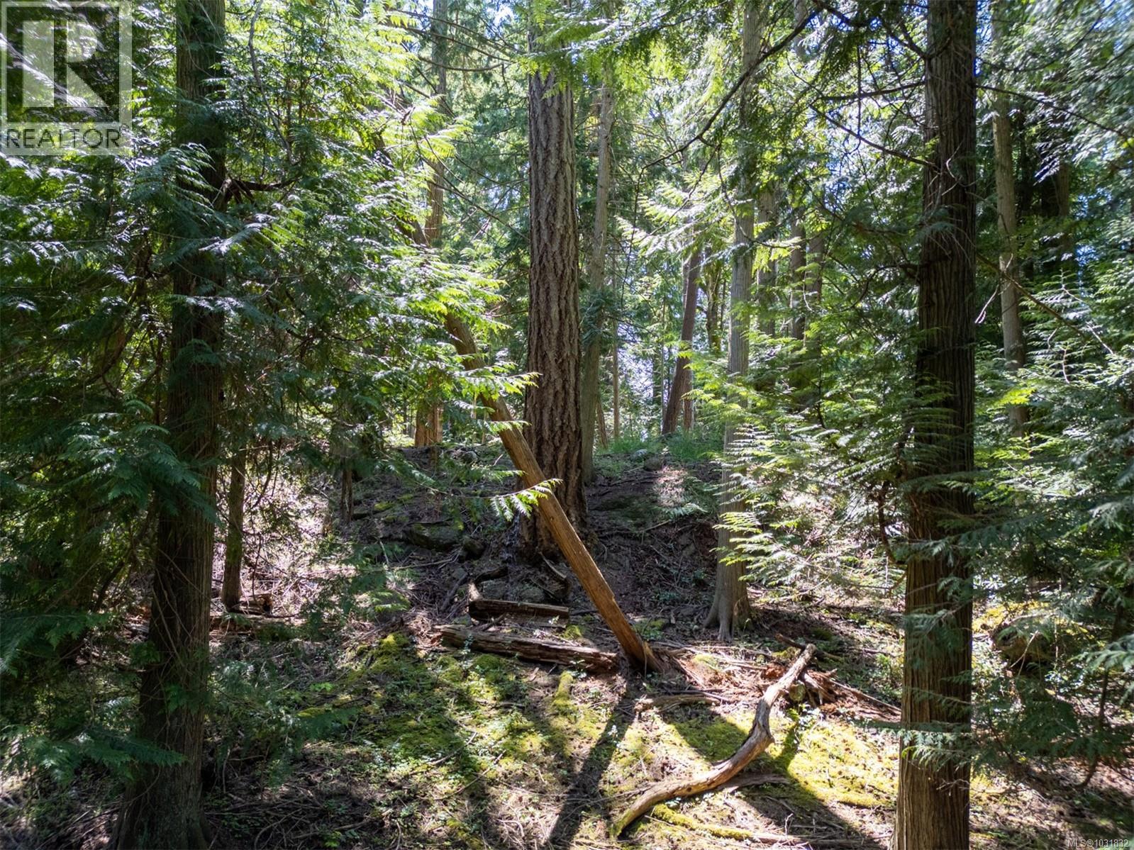 Beautiful building lot with cleared areas