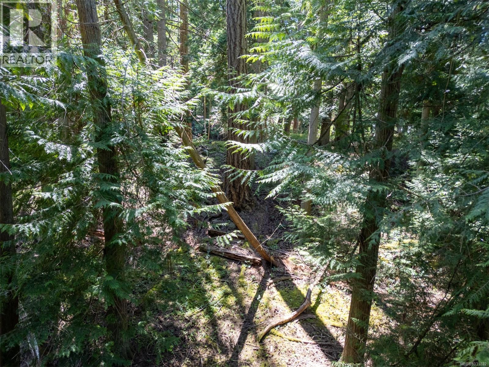 Beautiful building lot with cleared areas