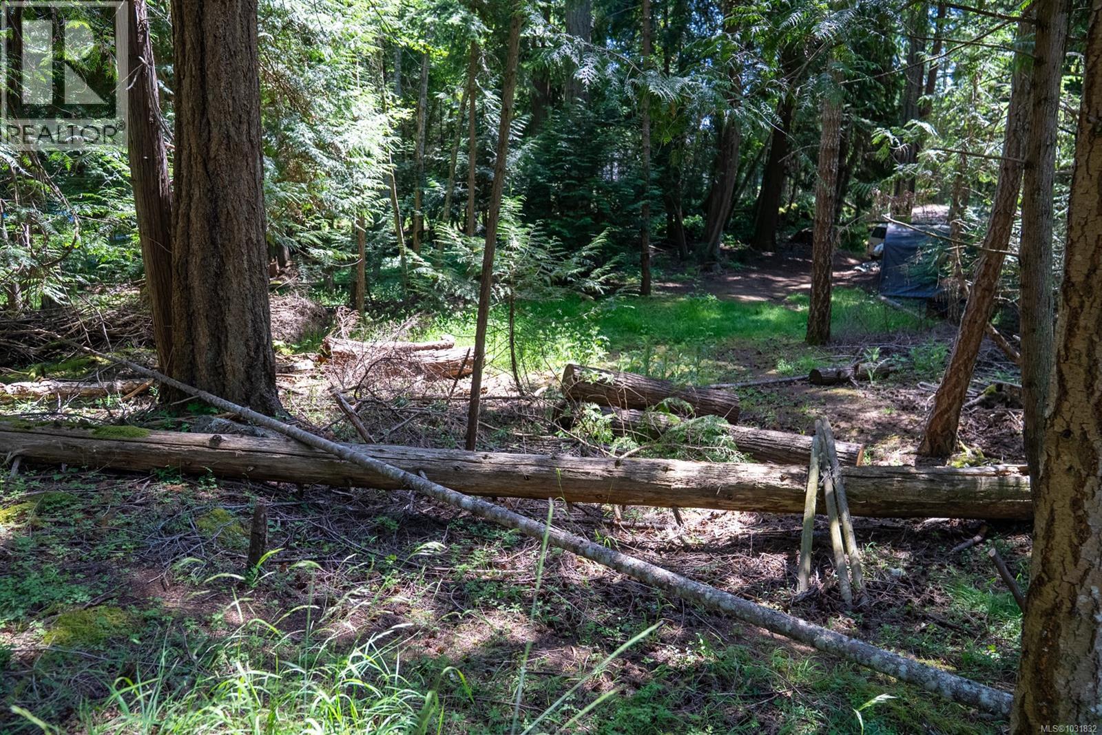 4849 Pirates Rd — photo 23