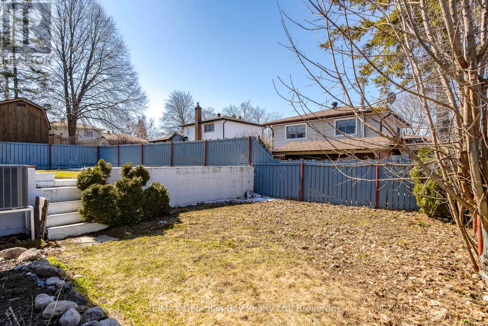 lower backyard