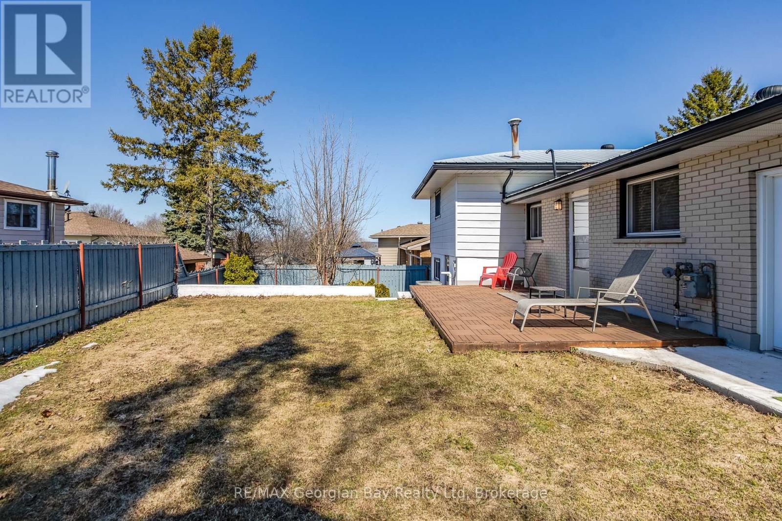 main back yard