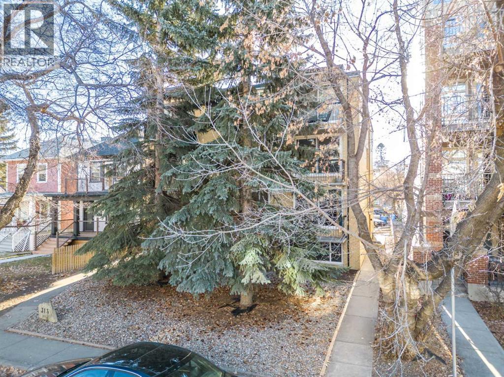 #101 313 20 AVENUE SW - 31