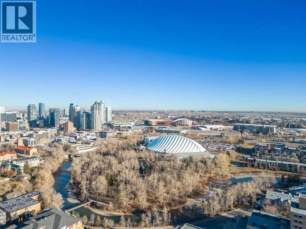 #101 313 20 AVENUE SW - 38