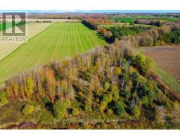 31313 Grey Road 14 Road, Southgate, ON N0G1N0 Photo 8
