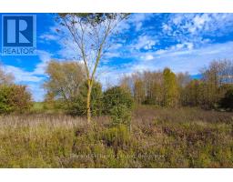 31313 Grey Road 14 Road, Southgate, ON N0G1N0 Photo 6