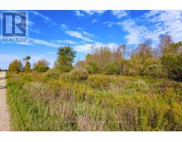 31313 Grey Road 14 Road, Southgate, ON N0G1N0 Photo 16
