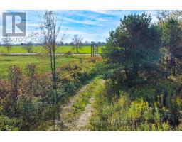 31313 Grey Road 14 Road, Southgate, ON N0G1N0 Photo 9