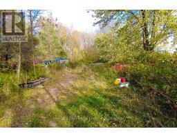 31313 Grey Road 14 Road, Southgate, ON N0G1N0 Photo 11