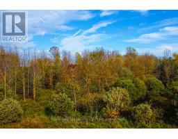 31313 Grey Road 14 Road, Southgate, ON N0G1N0 Photo 10