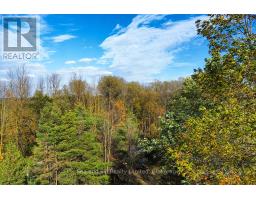 31313 Grey Road 14 Road, Southgate, ON N0G1N0 Photo 12