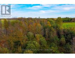 31313 Grey Road 14 Road, Southgate, ON N0G1N0 Photo 14